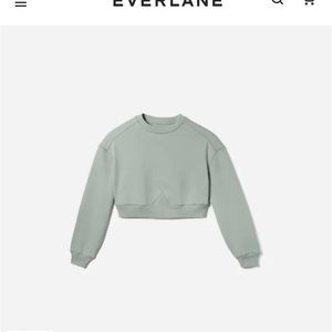 Everlane cropped sweater BRAND NEW
